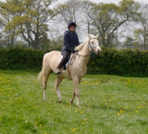 monsters in the hedge