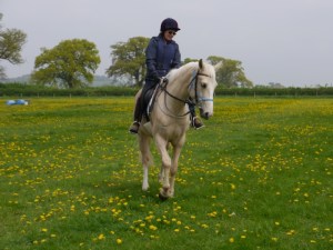 we're both trying hard