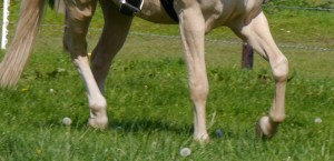 getting into a regular stride