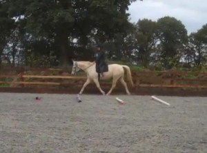 highest dolly can bring up her head while keeping the same rhythm and tempo