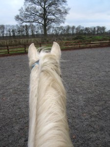 sit tight it's taking off again